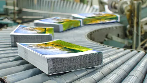 Marketing With Every door Direct Mail from USPS